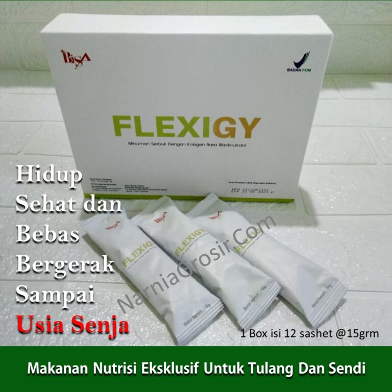 flexigy