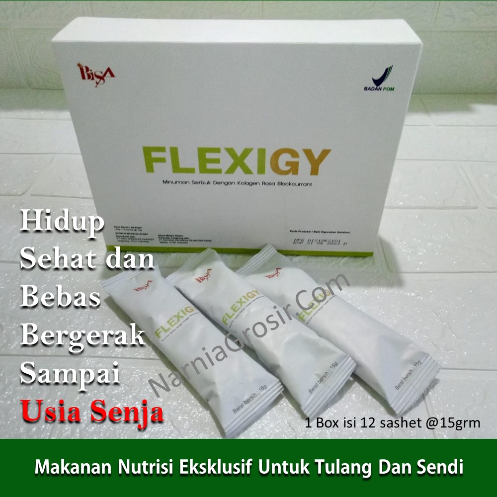 flexigy