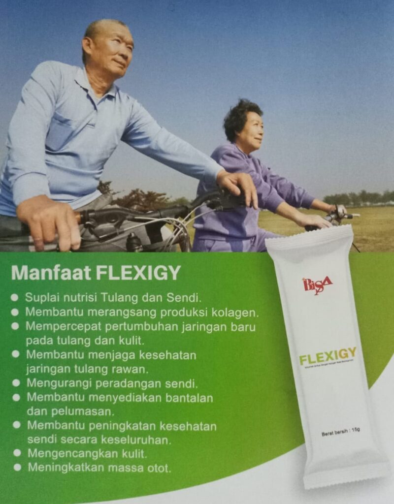 flexigy 3