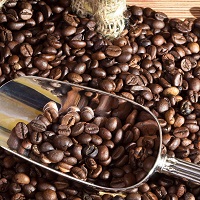 kopi kandungan kopi baha614