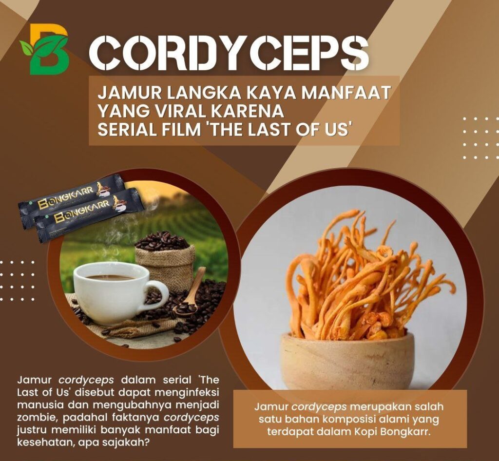 harga kopi bongkar 1