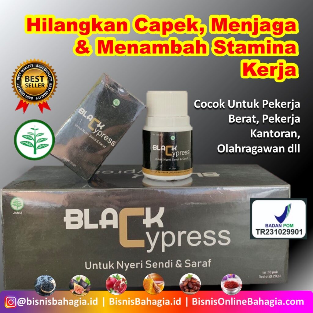 black cypress hilangkan capek