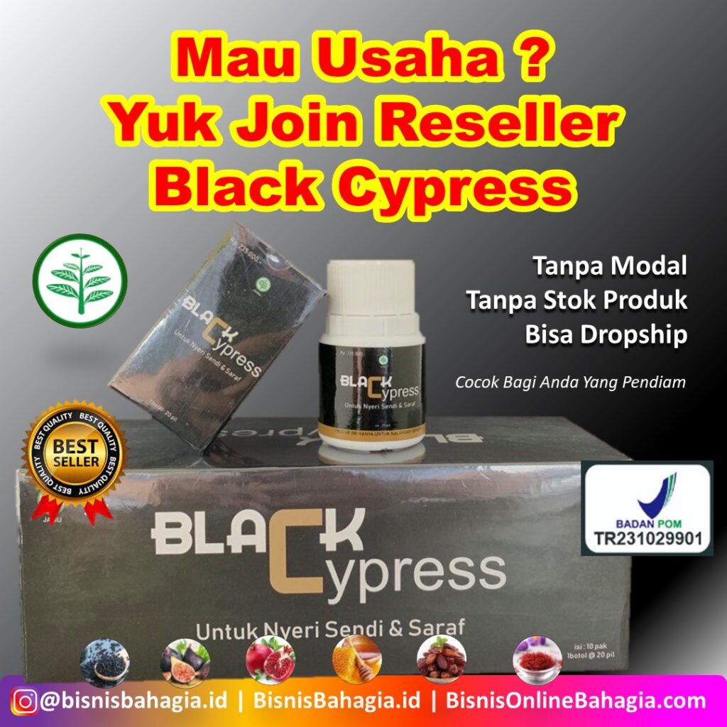 Usaha Pemula Reseller