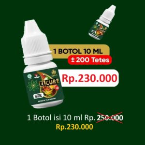 harga elcure asli 230000