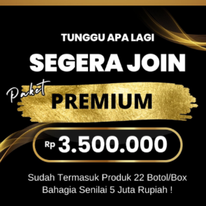 paket bisnis bob
