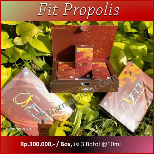 Fit Propolis